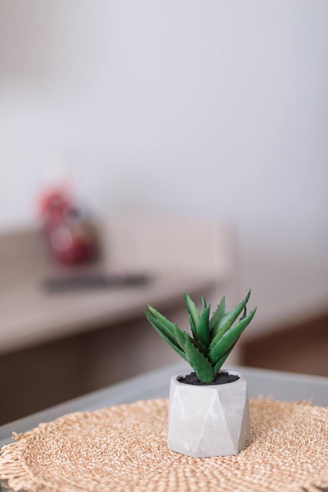 Apartament Dearborn Seafront San Pawl il-Baħar Zewnętrze zdjęcie